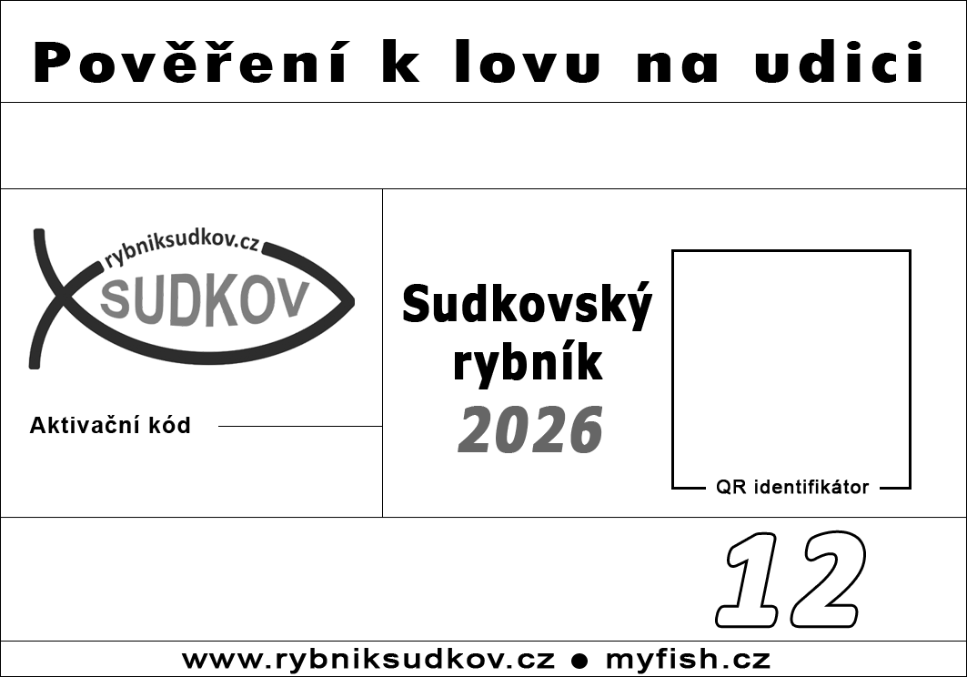 Časové pověření 12 hodin