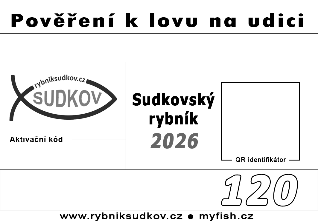 Časové pověření 120 hodin - 5 dnů